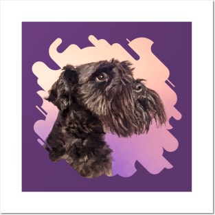 Miniature Schnauzer Posters and Art